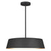 EP1055MBK Lighting/Ceiling Lights/Pendants