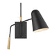EW1041MBK Lighting/Wall Lights/Sconces