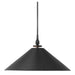 TP1001AI Lighting/Ceiling Lights/Pendants