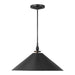 TP1001AI Lighting/Ceiling Lights/Pendants