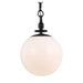 TP1031AI Lighting/Ceiling Lights/Pendants