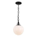 TP1031AI Lighting/Ceiling Lights/Pendants