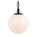 TP1041AI Lighting/Ceiling Lights/Pendants