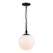 TP1041AI Lighting/Ceiling Lights/Pendants
