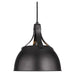 TP1051AI Lighting/Ceiling Lights/Pendants