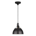 TP1051AI Lighting/Ceiling Lights/Pendants