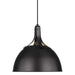 TP1061AI Lighting/Ceiling Lights/Pendants