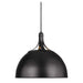 TP1071AI Lighting/Ceiling Lights/Pendants
