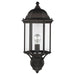 8638701-71 Lighting/Outdoor Lighting/Outdoor Wall Lights