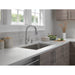 RP100632AR Kitchen/Kitchen Sink Accessories/Kitchen Soap & Lotion Dispensers