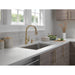 RP100632CZ Kitchen/Kitchen Sink Accessories/Kitchen Soap & Lotion Dispensers