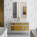 PC2430D4TLE83 Bathroom/Medicine Cabinets & Mirrors/Medicine Cabinets