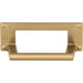 A301-WB Decor/Cabinet & Furniture Hardware/Cabinet & Furniture Pulls