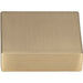 A833-CM Decor/Cabinet & Furniture Hardware/Cabinet & Furniture Knobs