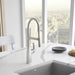 442676 Kitchen/Kitchen Faucets/Pull Down Spray Faucets