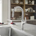 442678 Kitchen/Kitchen Faucets/Pull Down Spray Faucets