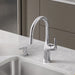 442678 Kitchen/Kitchen Faucets/Pull Down Spray Faucets