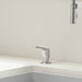 442680 Kitchen/Kitchen Sink Accessories/Kitchen Soap & Lotion Dispensers