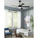 FR-W1801-60L-35-MB Lighting/Ceiling Lights/Ceiling Fans
