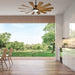 FR-W1815-60L35MBDK Lighting/Ceiling Lights/Ceiling Fans