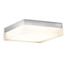 FM-2009-30-TT Lighting/Outdoor Lighting/Outdoor Flush & Semi-flush Lights