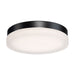 FM-2111-30-BK Lighting/Outdoor Lighting/Outdoor Flush & Semi-flush Lights