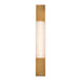 WS-65023-AB Lighting/Wall Lights/Sconces