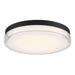 FM-W57815-30-BK Lighting/Ceiling Lights/Flush & Semi-flush Lights