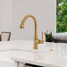 04215250 Kitchen/Kitchen Faucets/Pull Down Spray Faucets