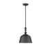 7-3751-1-89 Lighting/Ceiling Lights/Pendants