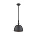 7-3751-1-89 Lighting/Ceiling Lights/Pendants