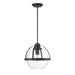 7-7201-1-89 Lighting/Ceiling Lights/Pendants