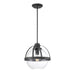 7-7201-1-89 Lighting/Ceiling Lights/Pendants