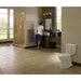 CST243EF#01 Bathroom/Toilets Bidets & Bidet Seats/Two Piece Toilets