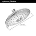 9038074.243 Bathroom/Bathroom Tub & Shower Faucets/Showerheads
