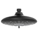 9038074.243 Bathroom/Bathroom Tub & Shower Faucets/Showerheads