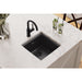ELG1616BK0 Kitchen/Kitchen Sinks/Dual Mount Kitchen Sinks