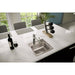 BLR15600 Kitchen/Kitchen Sinks/Bar & Prep Sinks