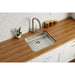 ELUHAD191645 Kitchen/Kitchen Sinks/Undermount Kitchen Sinks