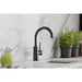 LKAV3021BK Kitchen/Kitchen Faucets/Bar & Prep Faucets