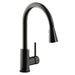 LKAV3031BK Kitchen/Kitchen Faucets/Pull Down Spray Faucets