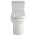 G0020196 Bathroom/Toilets Bidets & Bidet Seats/Two Piece Toilets