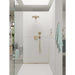 15763141 Bathroom/Bathroom Tub & Shower Faucets/Shower Only Faucet Trim