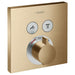 15763141 Bathroom/Bathroom Tub & Shower Faucets/Shower Only Faucet Trim