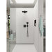 15763671 Bathroom/Bathroom Tub & Shower Faucets/Shower Only Faucet Trim