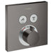 15763341 Bathroom/Bathroom Tub & Shower Faucets/Shower Only Faucet Trim
