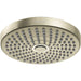 04388830 Bathroom/Bathroom Tub & Shower Faucets/Showerheads