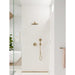 15743141 Bathroom/Bathroom Tub & Shower Faucets/Shower Only Faucet Trim