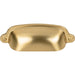 M2223 Decor/Cabinet & Furniture Hardware/Cabinet & Furniture Pulls