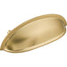M2193 Decor/Cabinet & Furniture Hardware/Cabinet & Furniture Pulls